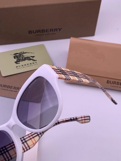 Check Sunglasses B6992