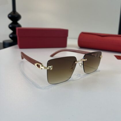 Santos Sunglasses