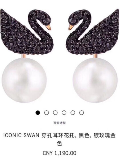 Earrings in Black